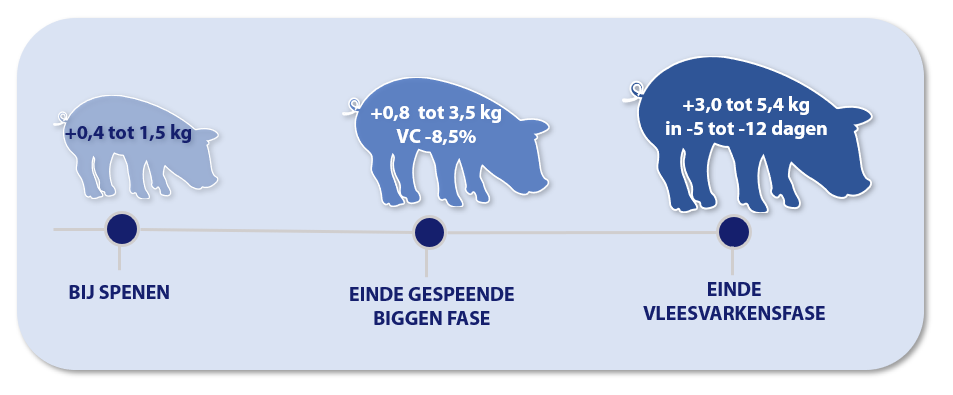 2024_Artikel4_InfoGraphic