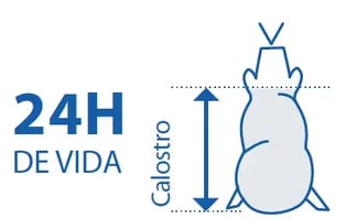 Captura de pantalla 2025-10-01 a las 15.43.04