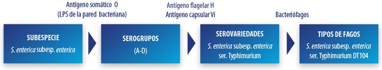 DC_fig1b