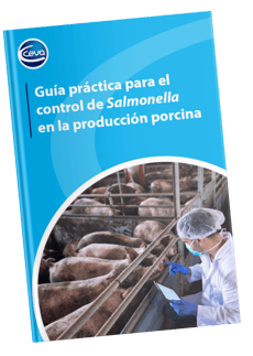 Diseño sin título (66)