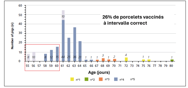 Décalage de bandes de porcelets_2ème série