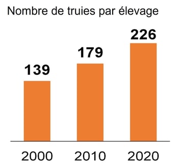 Evolution du nombre de truies par élevage