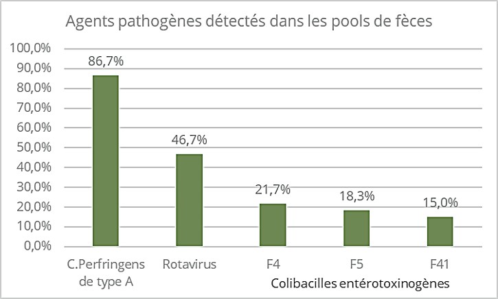 Germes isolés dans les cas de diarrhées_entéroscreen