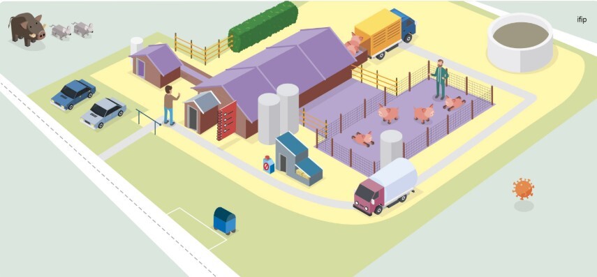 Illustration IfIp
