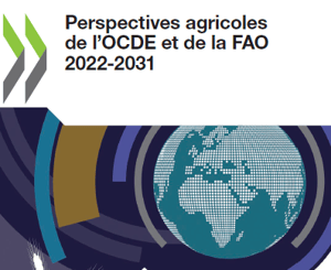 Rapport OCDE-FAO sur les perspectives de la production porcine mondiale