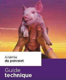 couverture guide anémie