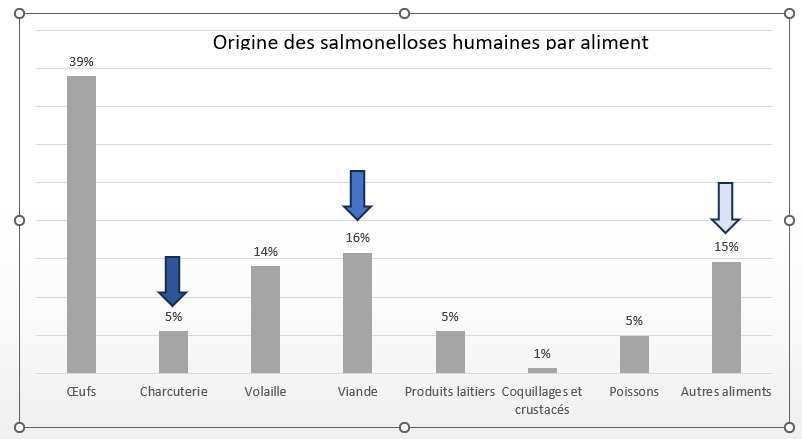 origine des salmonelloses en france