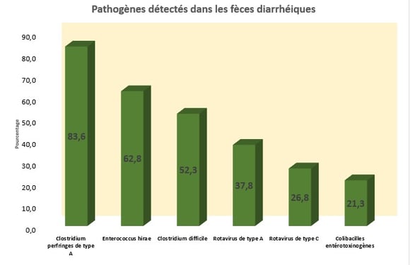 pathogenes detectes dans les diarrhées