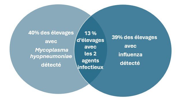 répartition détection Mh et influenza