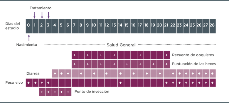 Forceris1_fig6