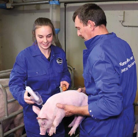 2025_04_PIGProgram