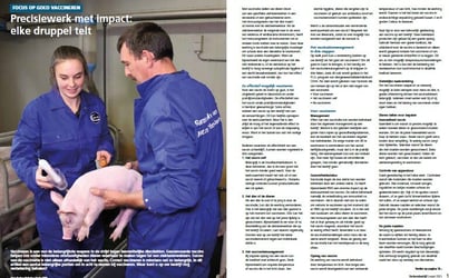 2025_04_Pigprogram-link