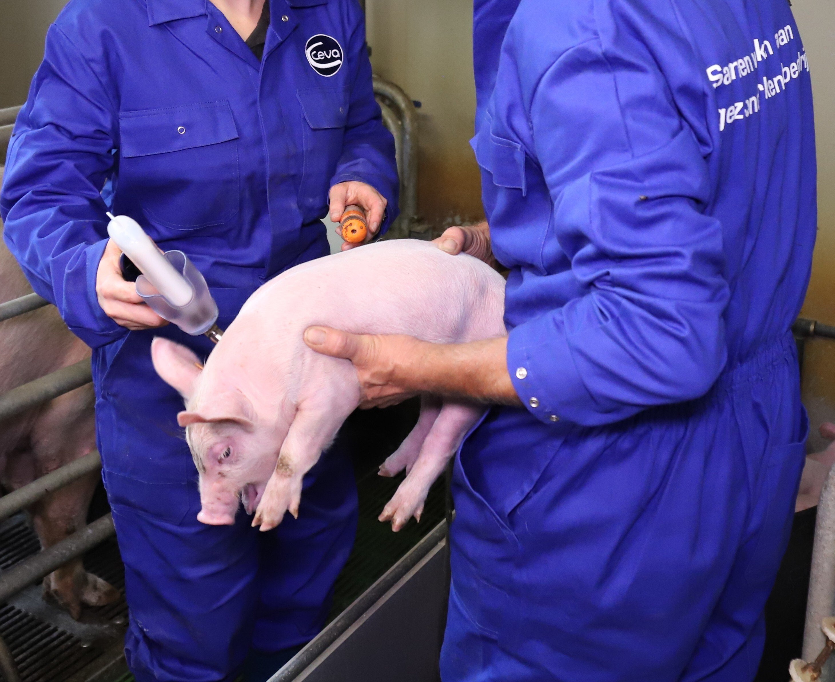 2025_Artikel20_BLOG_Optie1