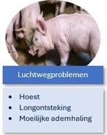 2025_LuchtwegProblemen