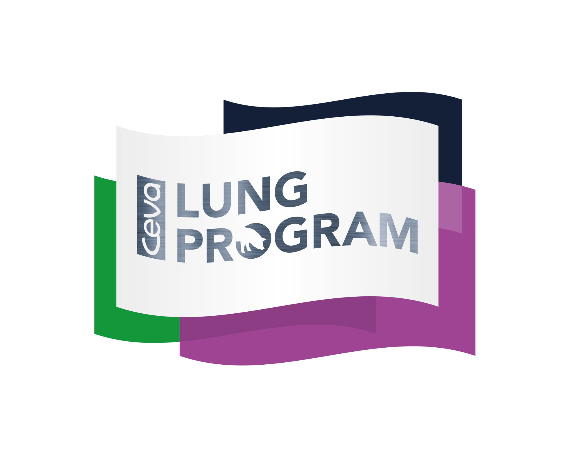 Logo_ceva_lung_program Logo_ceva_lung_program