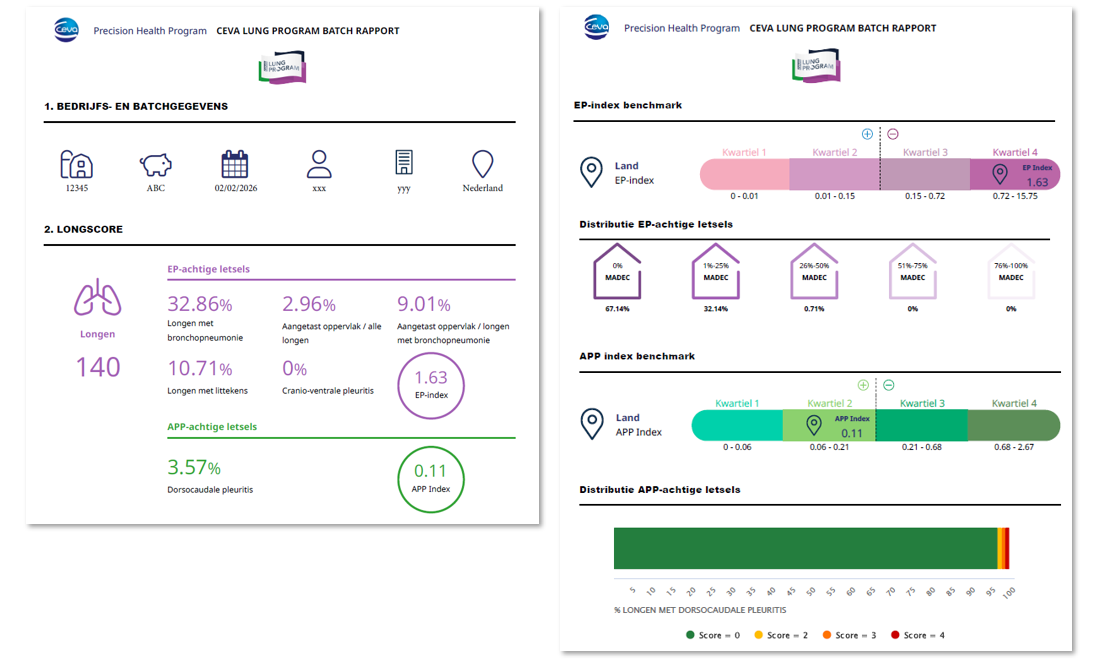 2026_Artikel22_CLPrapport