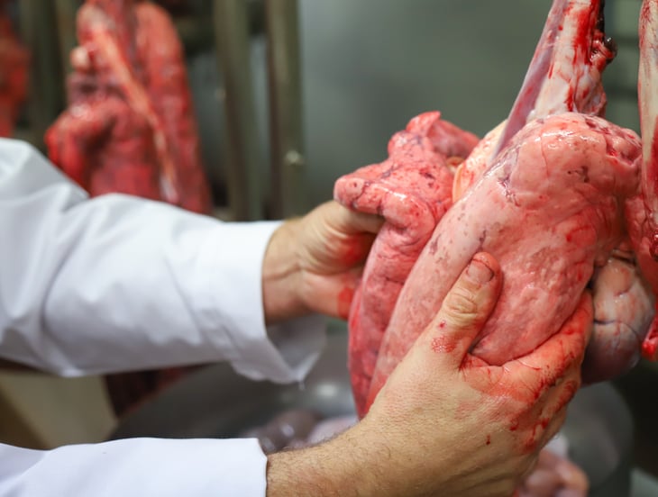 2026_Artikel22_Hoofdafbeelding