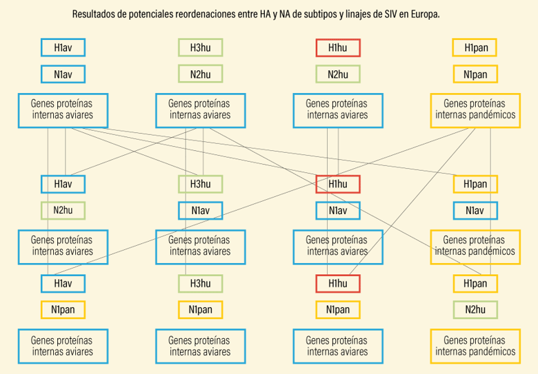 Suis166_Figura3