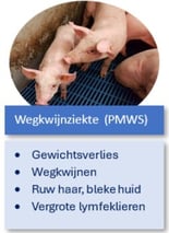 2025_SympCircoLos_Wegkwijn
