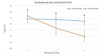 anticuerpos-pcv2-image-01