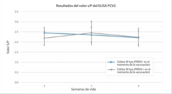 anticuerpos-pcv2-image-02
