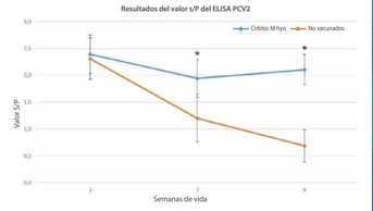 anticuerpos-pcv2-image-03