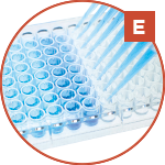 coglapix_e