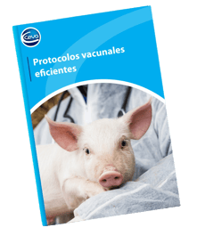 ebook_vacunales_sin_fondo_1
