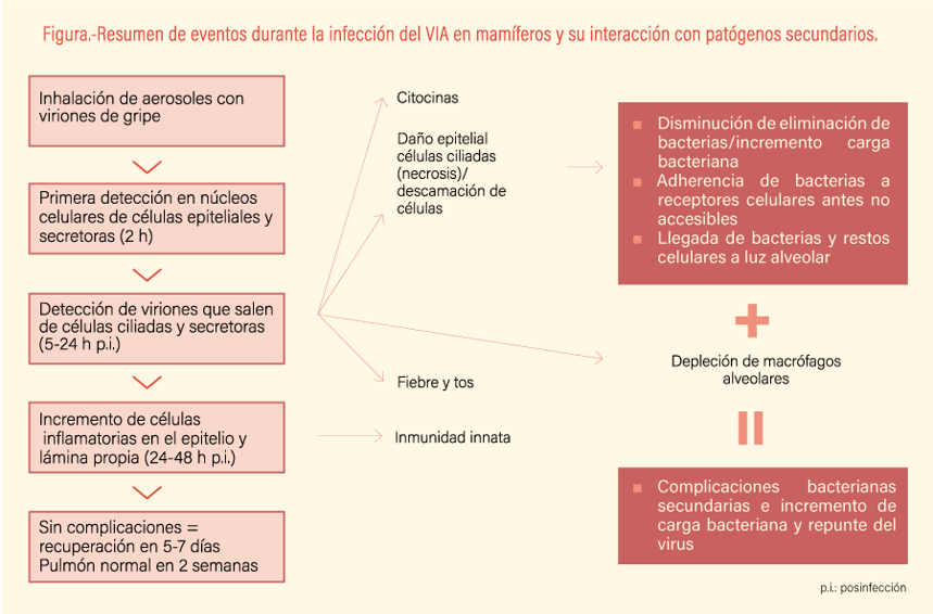 figura1