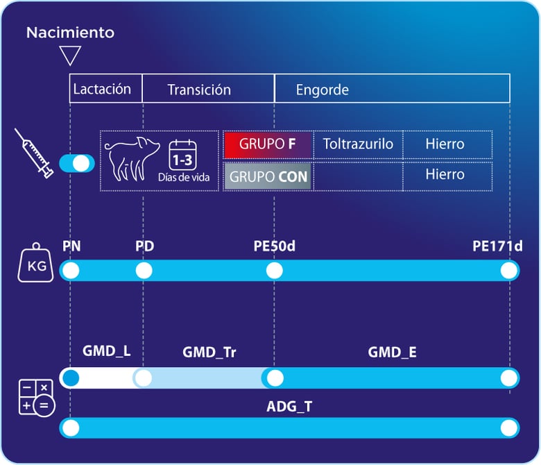 forceris-toltrazurilo-fig1