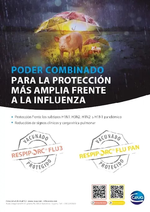 influencia_anuncio