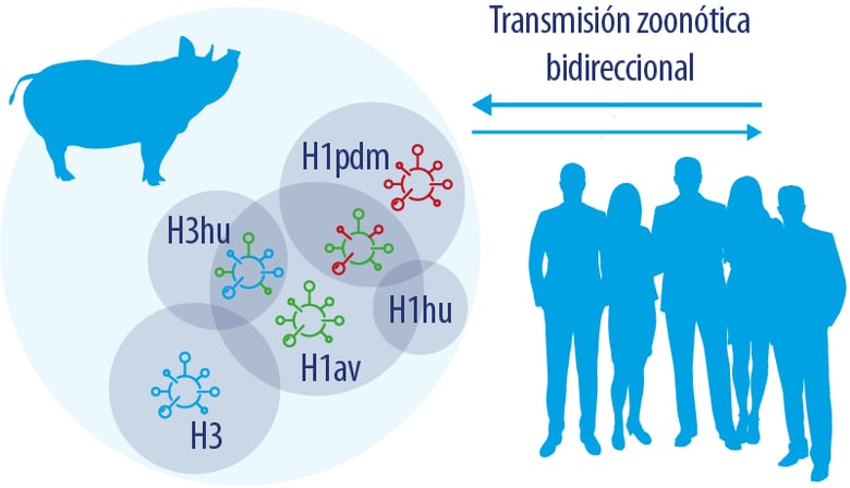 influenza_fig1