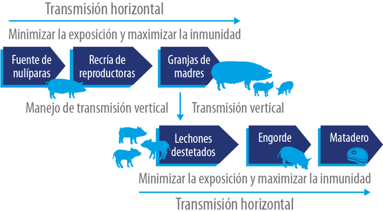 influenza_fig2