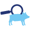 influenza_icono1