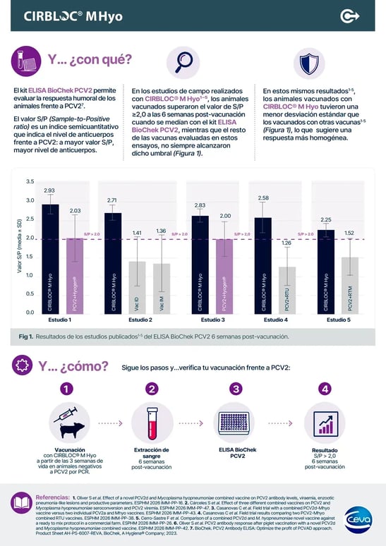 infografia-kit-elisa-image-02-new