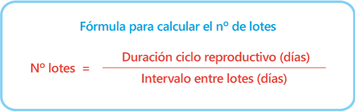 manejo2_formula1-1