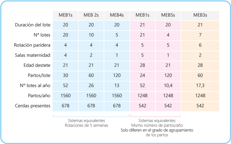 manejo2_tabla4