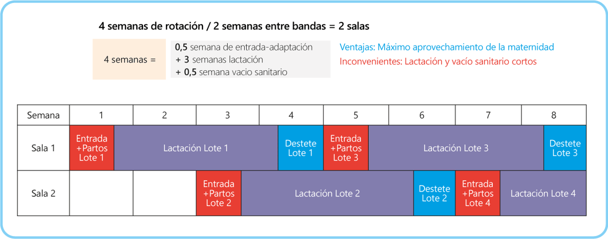 manejo2_tabla5