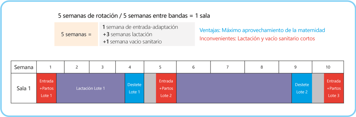 manejo2_tabla7