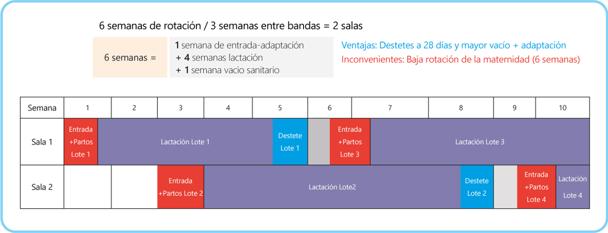 manejo2_tabla8