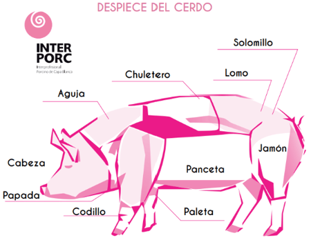 partes del cerdo 1