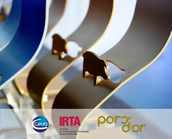 Premio Ceva One Health - Premio Porc d'Or