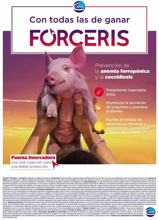 porci_sapiens_forceris