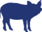 icono5
