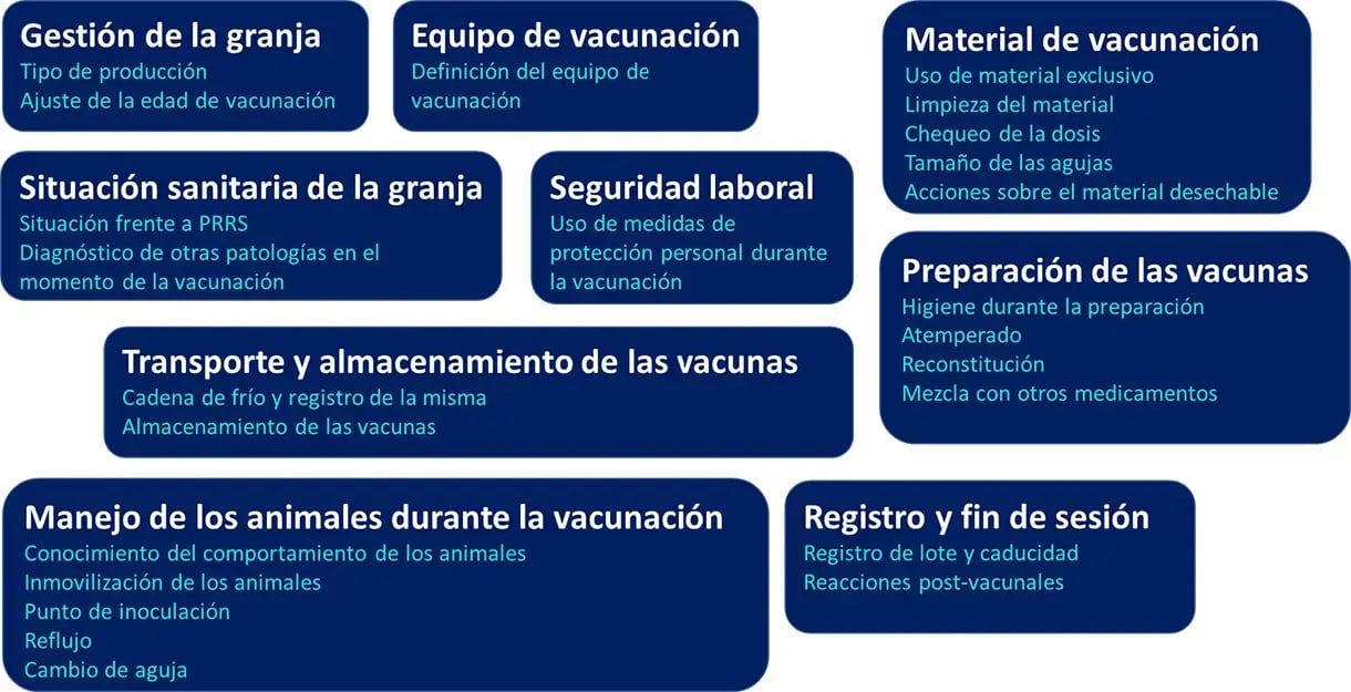 vaccinomics2_9_nodos-1