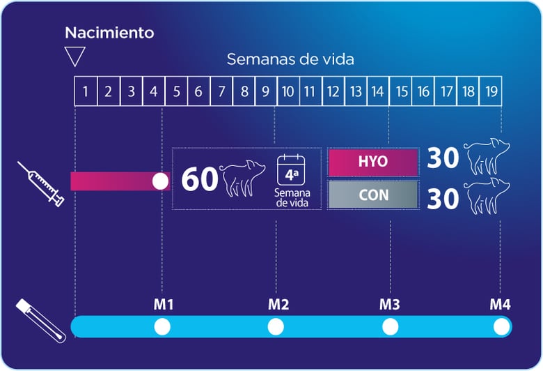 vacunacion-fig1