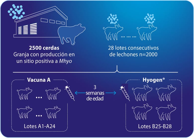vs_otra_fig1
