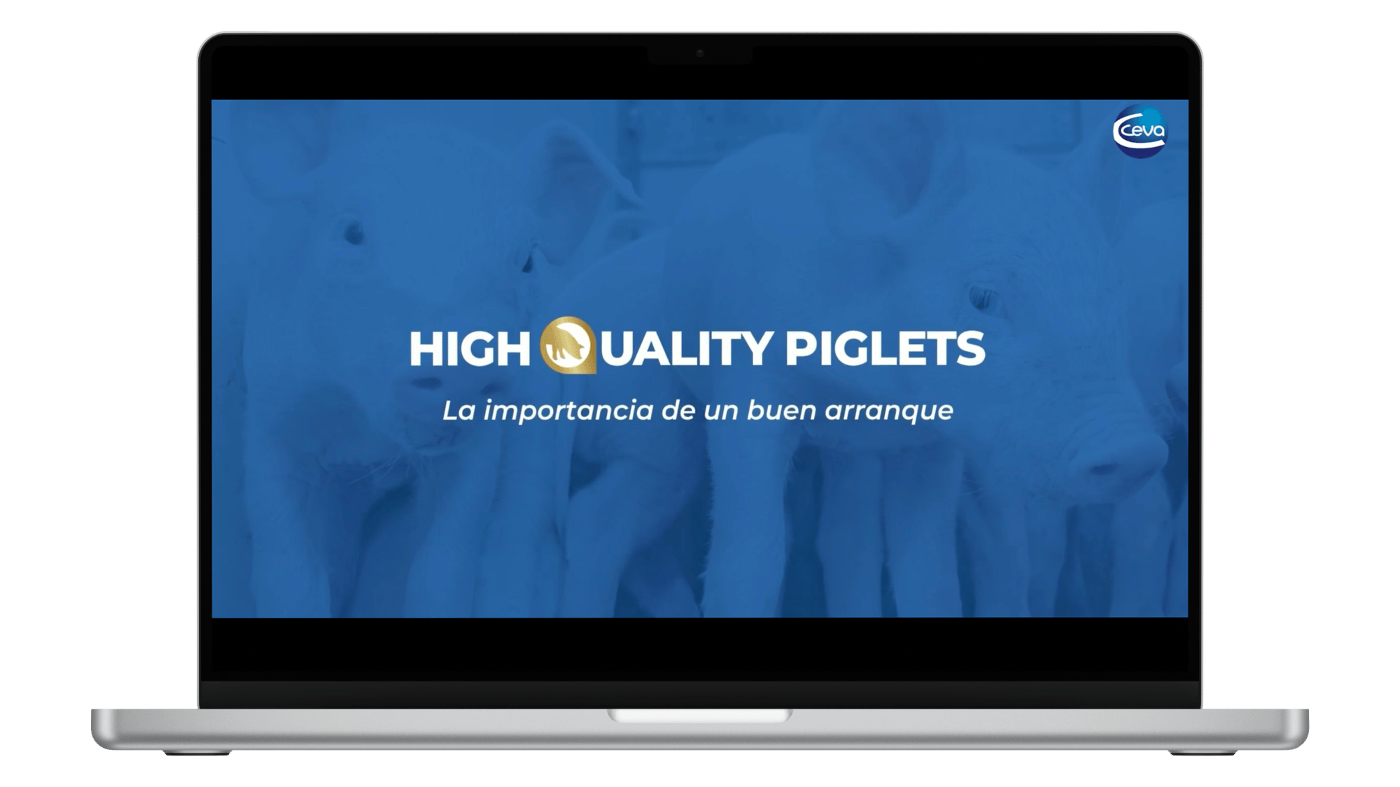 webinar Manejo inteligente