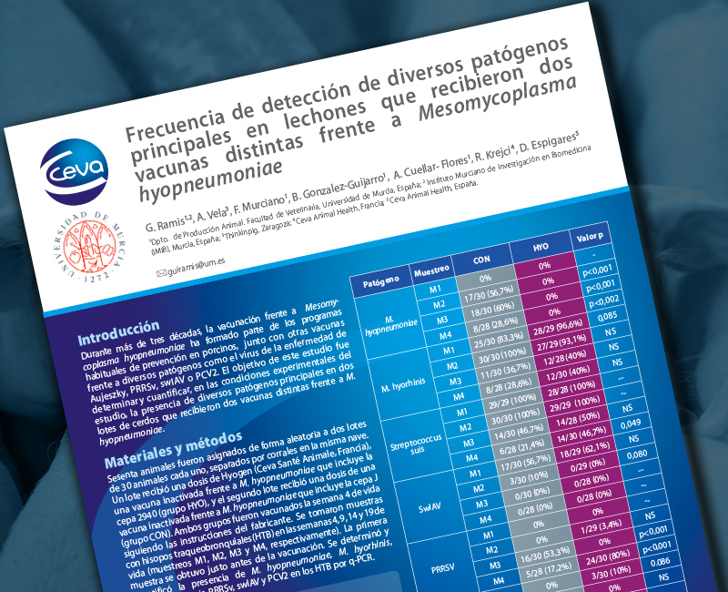 vacunas frente a M. hyopneumoniae