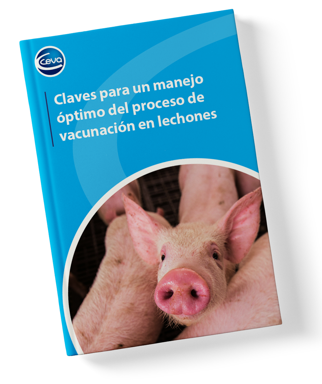 Mockup_Ebook Claves Vacunación Lechones